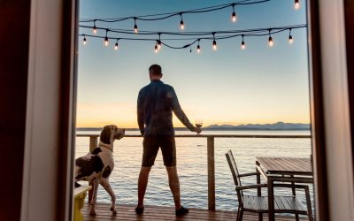 7 conseils pour partir en vacances avec son chien